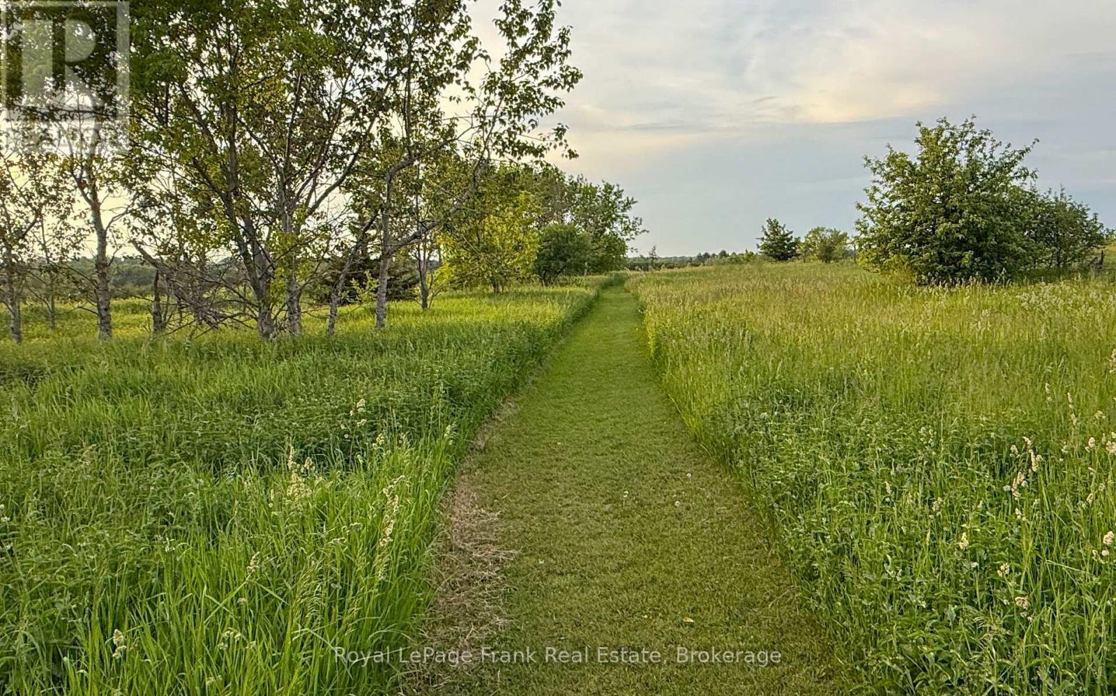3778 Highway 2 Road, Clarington, Ontario  L1B 0P4 - Photo 18 - E12990856