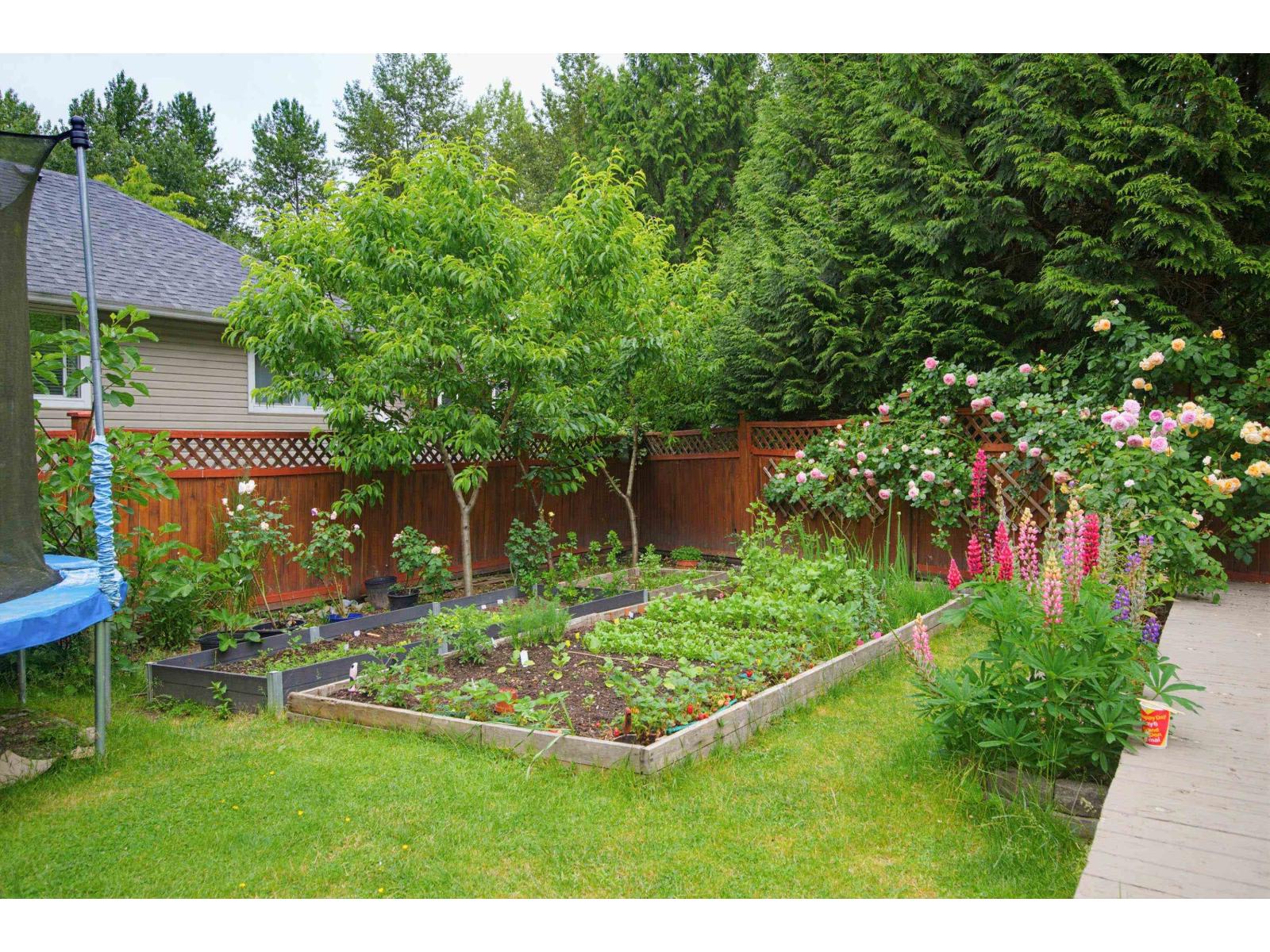 21657 92b Avenue, Langley, British Columbia  V1M 0A3 - Photo 38 - R3134449