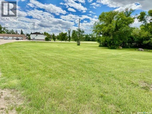 33-36 Shannon Street, Lanigan, Saskatchewan  S0K 2M0 - Photo 6 - SK038974