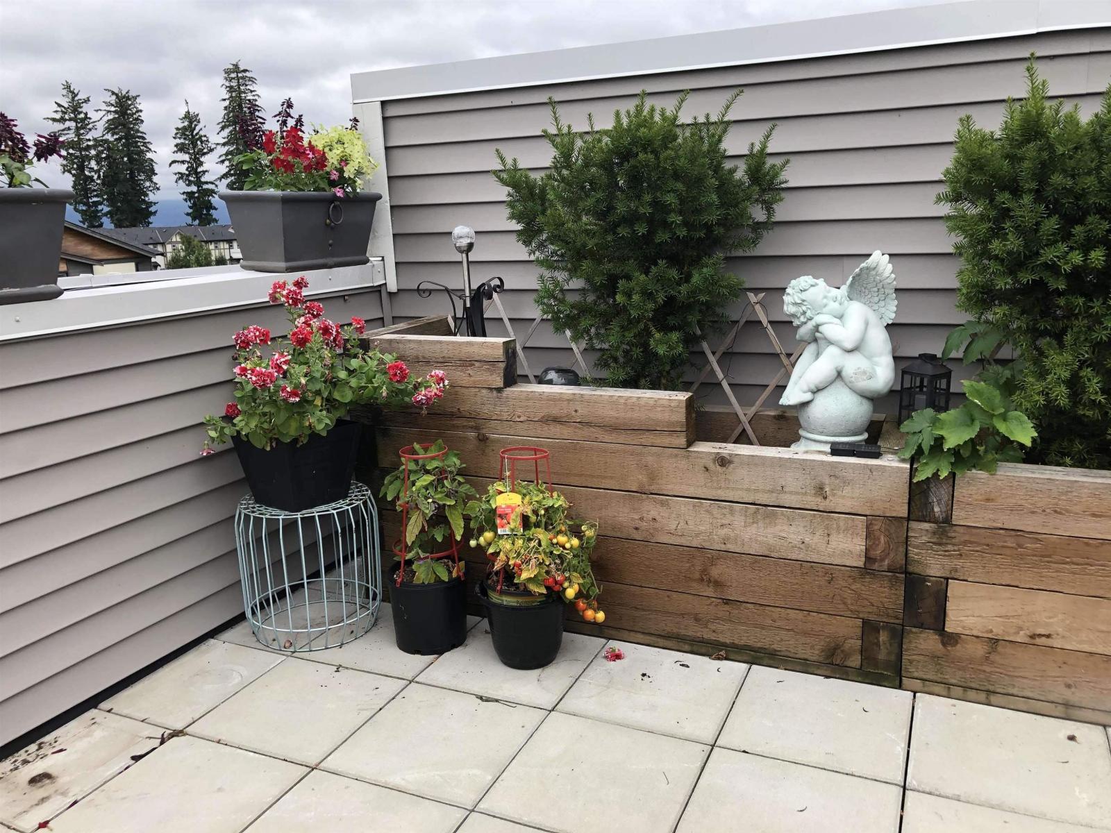 63 20857 77a Avenue, Langley, British Columbia  V2Y 0W7 - Photo 24 - R3134705