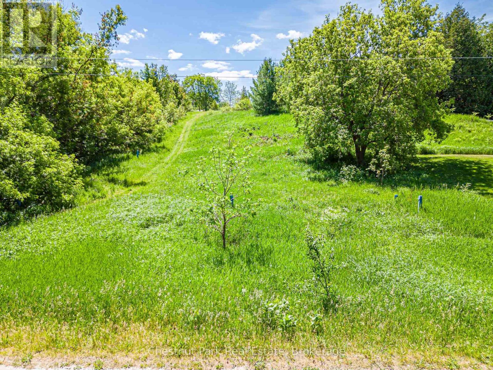 120 John Street, Blue Mountains, Ontario  N0H 1J0 - Photo 7 - X13428550