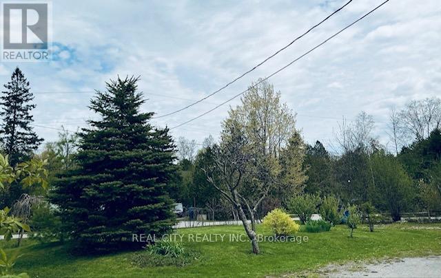 848 Crescent Beach Road Nw, Georgina, Ontario  L4P 3N9 - Photo 18 - N13428528