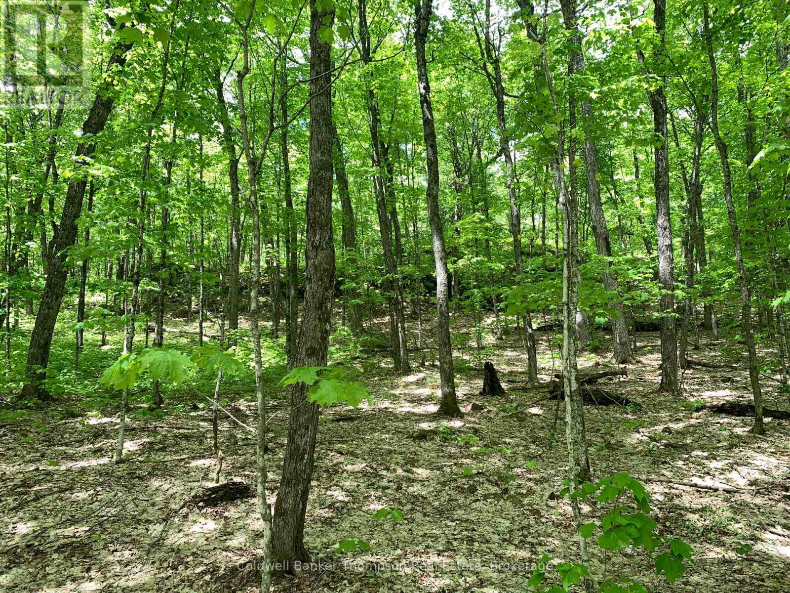 Lot 16 Maxwell Lane, Parry Sound Remote Area, Ontario  P0A 1X0 - Photo 5 - X13428684