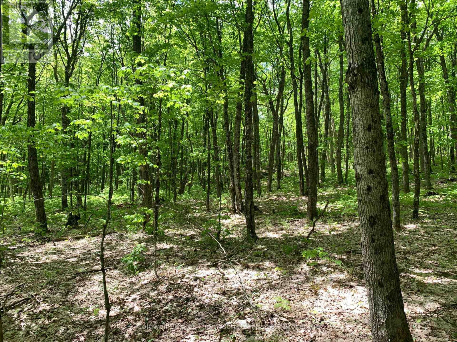Lot 16 Maxwell Lane, Parry Sound Remote Area, Ontario  P0A 1X0 - Photo 6 - X13428684