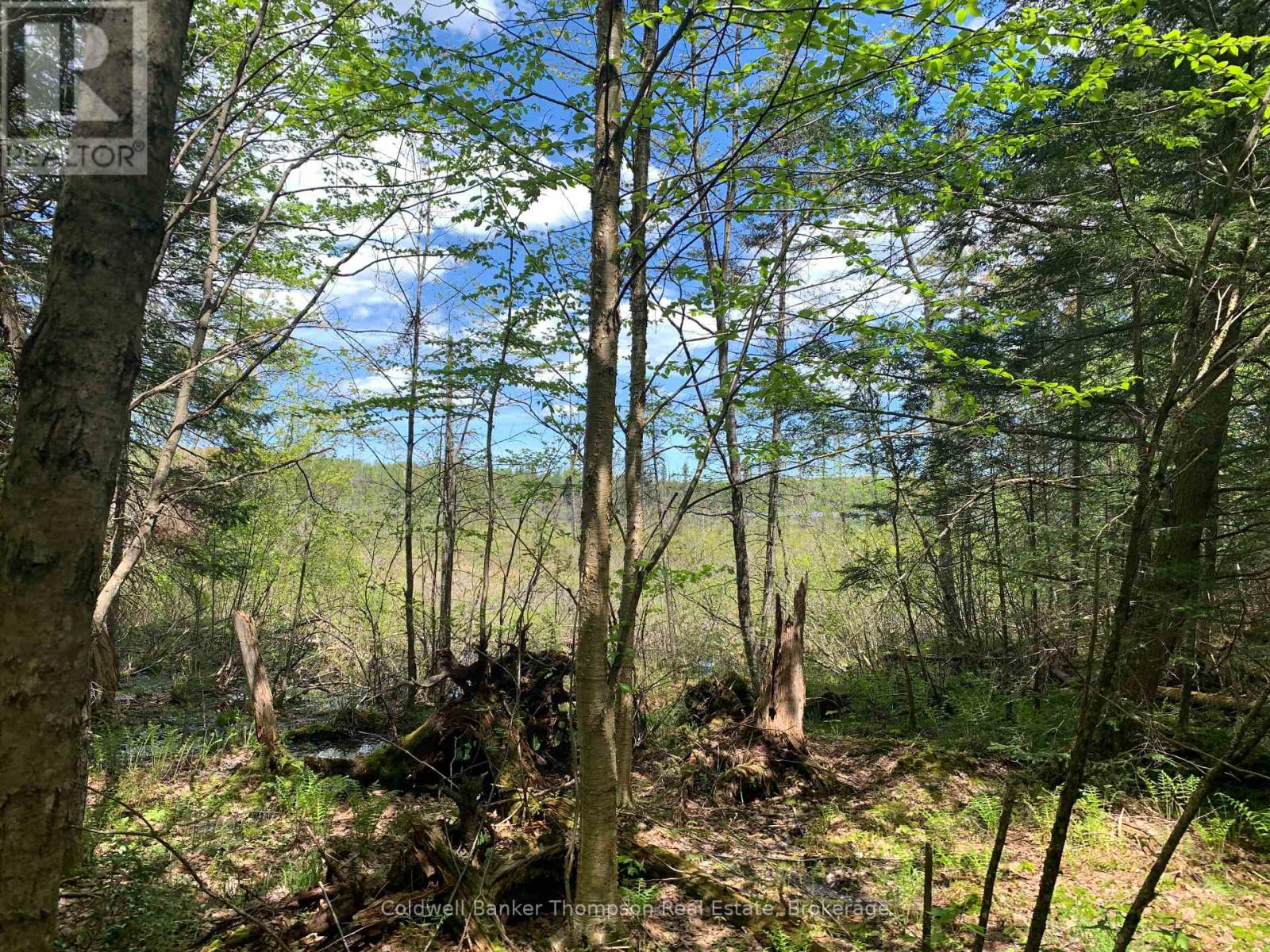 Lot 16 Maxwell Lane, Parry Sound Remote Area, Ontario  P0A 1X0 - Photo 7 - X13428684
