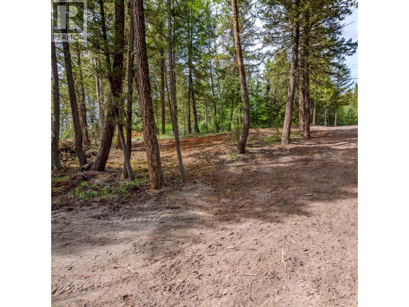 6120 Ranchette Road, Horse Lake, British Columbia  V0K 2E3 - Photo 3 - R3106808
