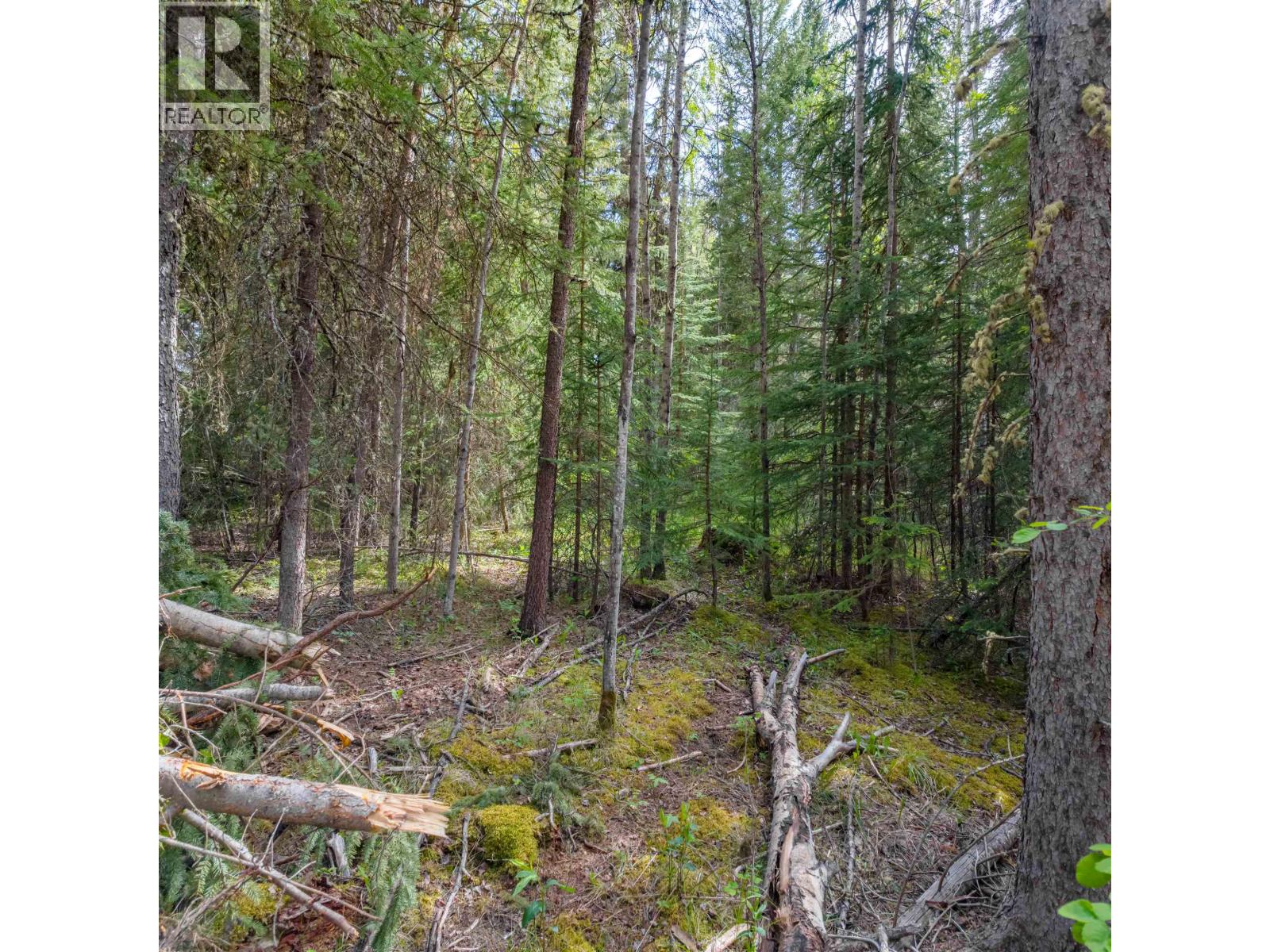 6120 Ranchette Road, Horse Lake, British Columbia  V0K 2E3 - Photo 19 - R3106808