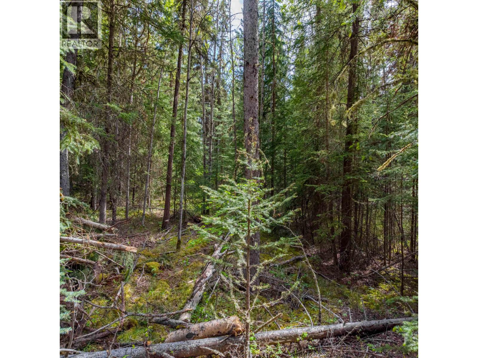 6120 Ranchette Road, Horse Lake, British Columbia  V0K 2E3 - Photo 18 - R3106808