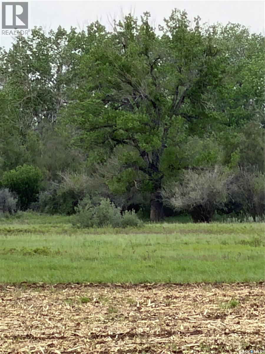 Red Deer River Ranch, Chesterfield Rm No. 261, Saskatchewan S0N 1H0 - Photo 30 - SK039001