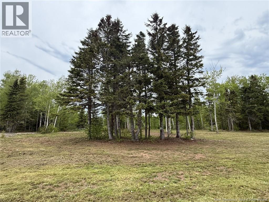 3,425 Mc 12e Rue, Shippagan, New Brunswick  E8S 1C4 - Photo 4 - NB135745