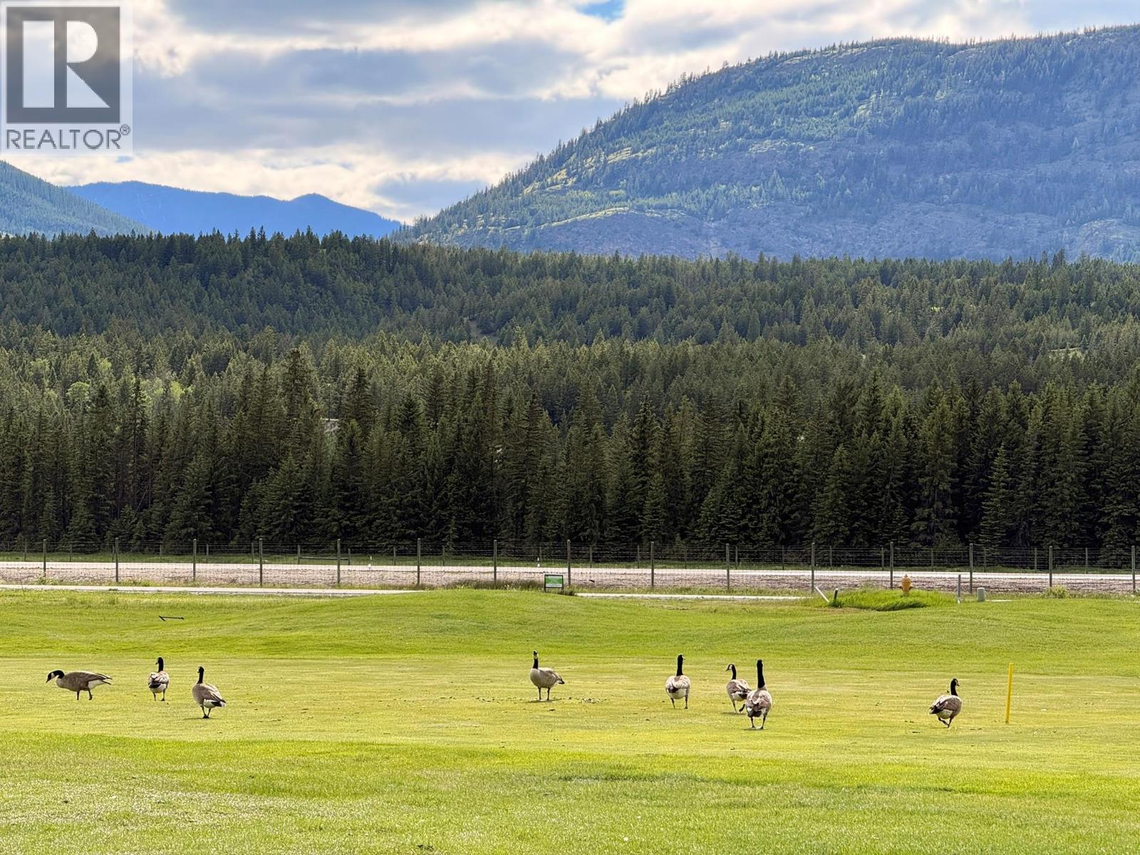 Lot 113 Riverside Drive, Fairmont Hot Springs, British Columbia  V0B 1L1 - Photo 20 - 10390313