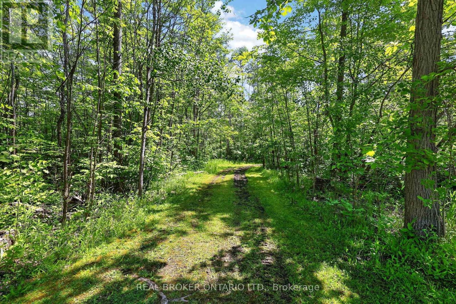 524 Honey Harbour Road, Georgian Bay, Ontario  L0K 1S0 - Photo 25 - X13428918