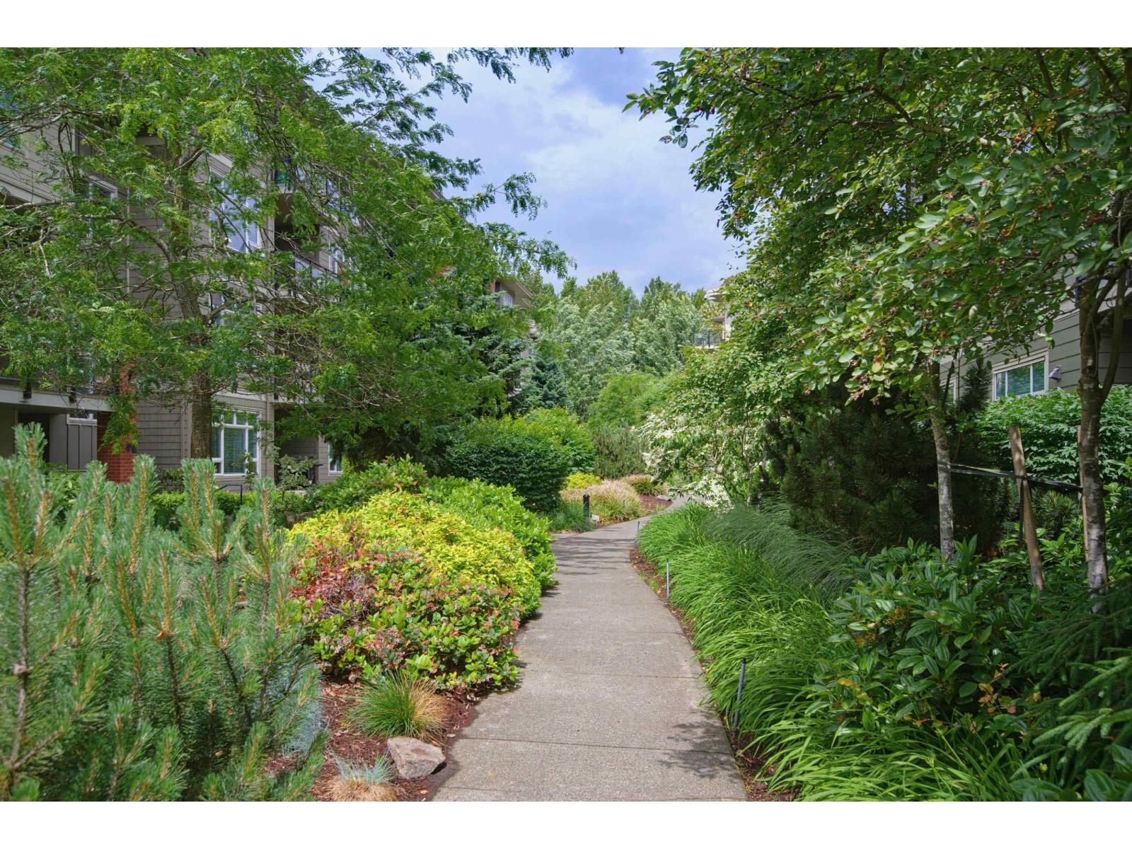 E305 20211 66 Avenue, Langley, British Columbia  V2Y 0L4 - Photo 26 - R3133996