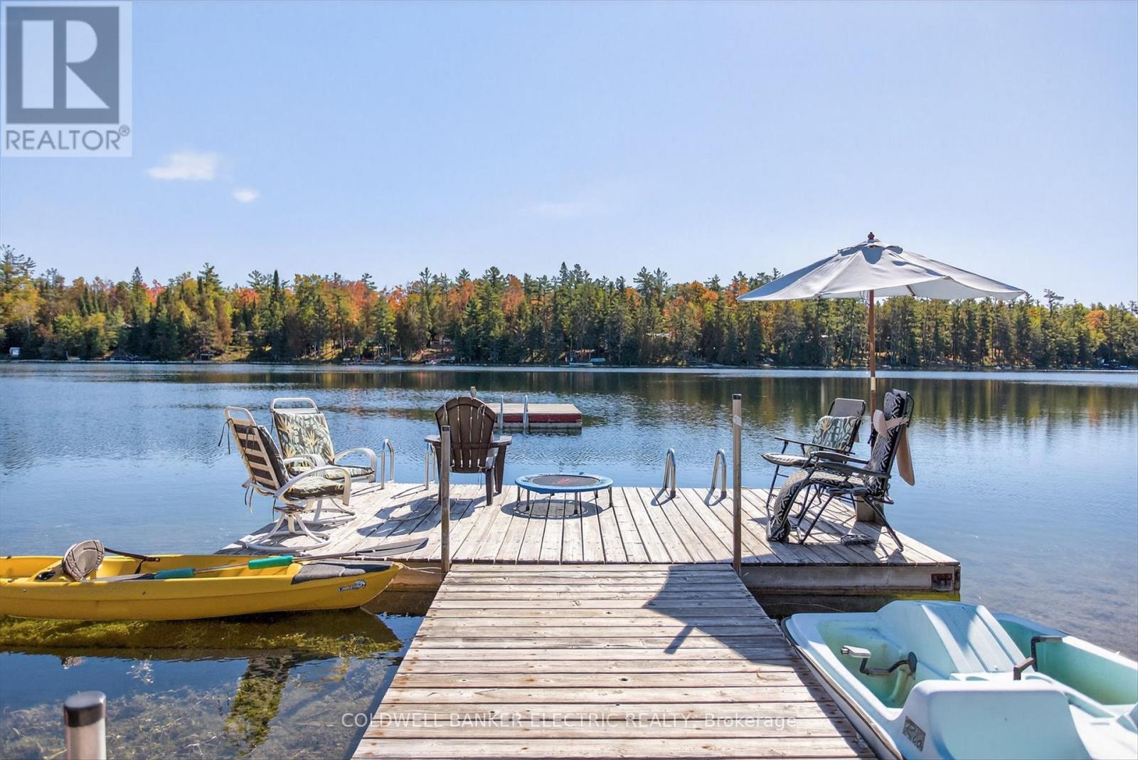 1352 County Rd 49 Road, Trent Lakes, Ontario  K0M 1A0 - Photo 2 - X12947458