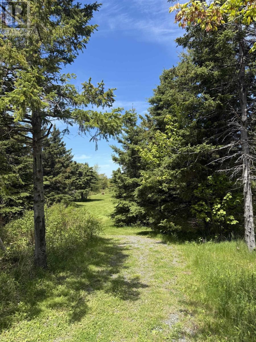 Lot 10 889 Blue Sea Road, Malagash Point, Nova Scotia  B0K 1E0 - Photo 3 - 202613874