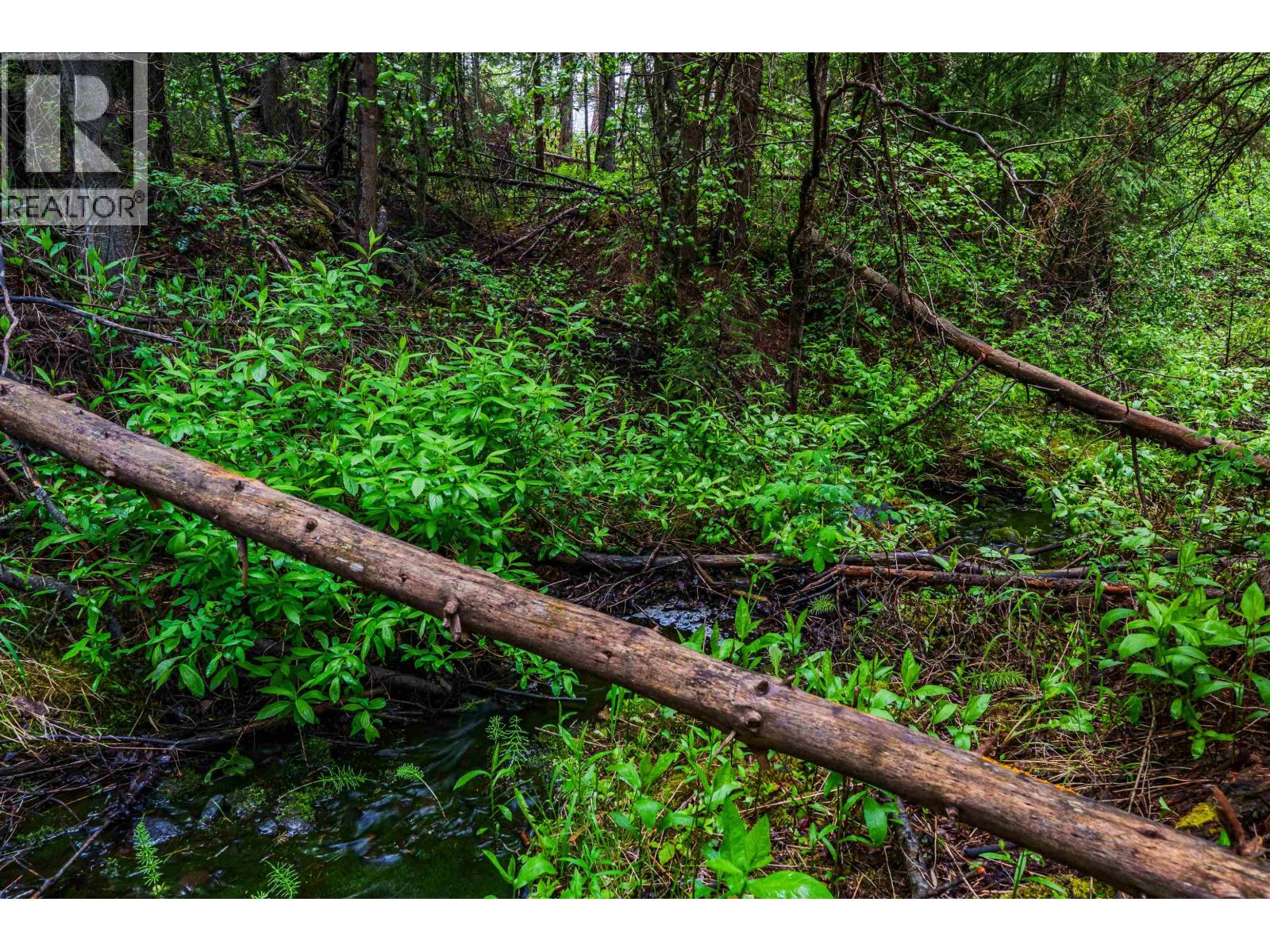 7587 Womack Road, Deka Lake / Sulphurous / Hathaway Lakes, British Columbia  V0K 1X3 - Photo 15 - R3134877
