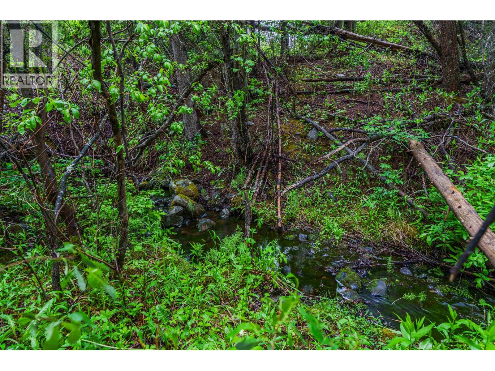 7587 Womack Road, Deka Lake / Sulphurous / Hathaway Lakes, British Columbia  V0K 1X3 - Photo 3 - R3134877