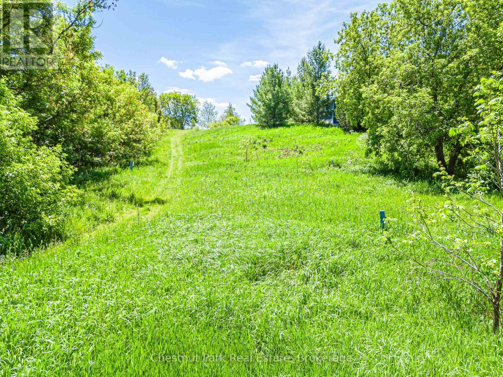 120 John Street, Blue Mountains, Ontario  N0H 1J0 - Photo 7 - X13428550