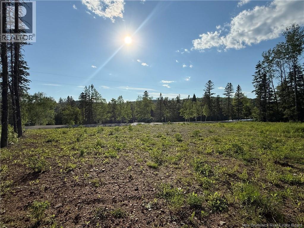 0 Route 385, Nictau, New Brunswick  E7G 3A9 - Photo 2 - NB140648