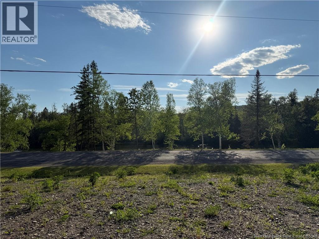 0 Route 385, Nictau, New Brunswick  E7G 3A9 - Photo 6 - NB140648