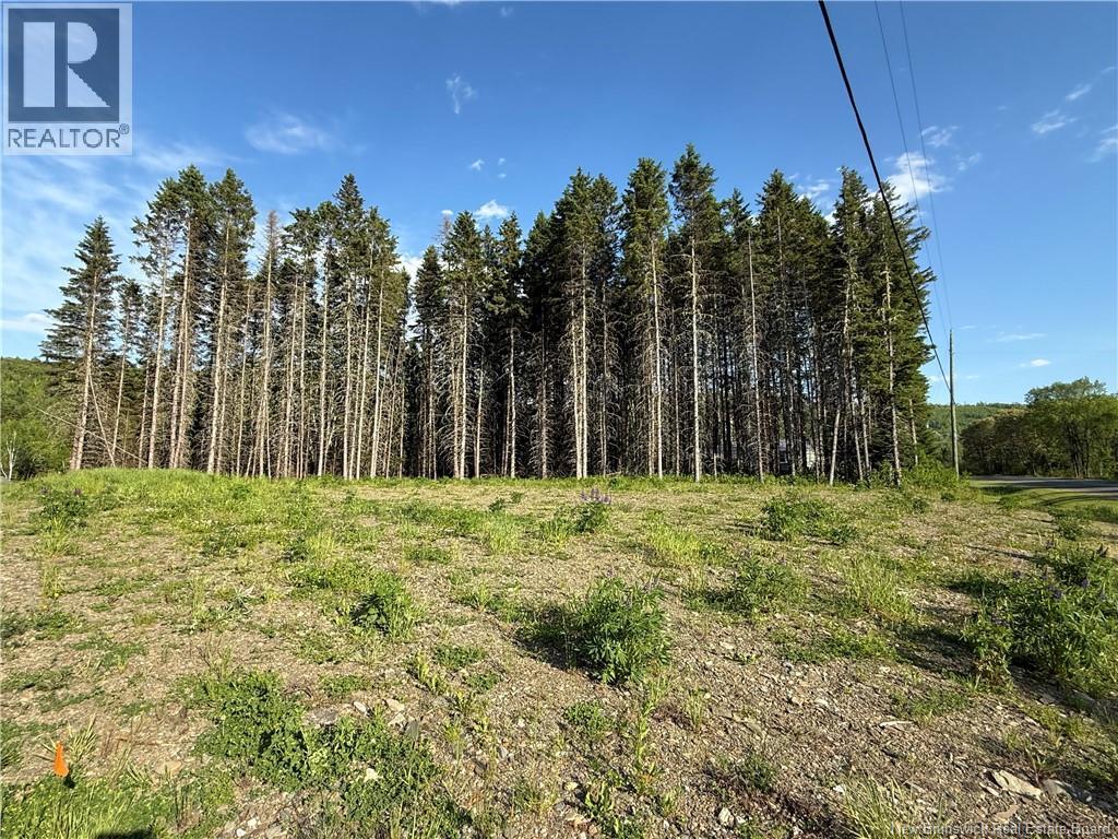 0 Route 385, nictau, New Brunswick