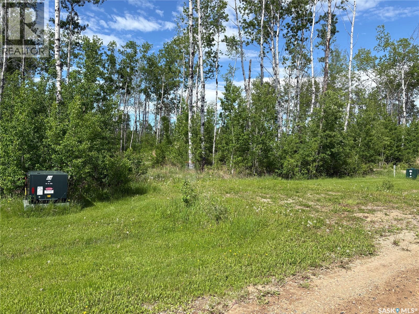 Lot 22, Lakeshore Rv Properties, Big River Rm No. 555, Saskatchewan  S0J 0E0 - Photo 4 - SK036076