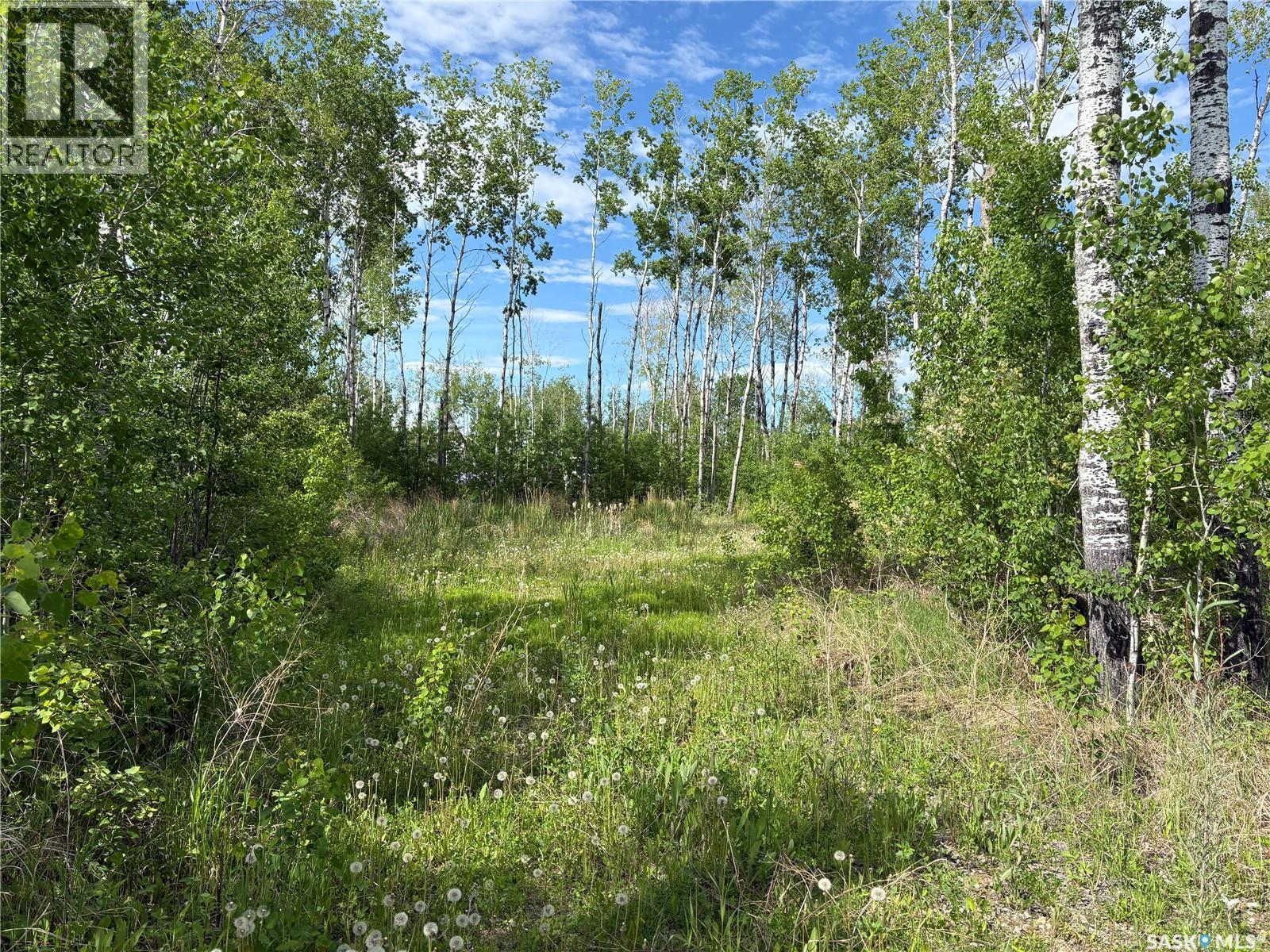 Lot 22, Lakeshore Rv Properties, Big River Rm No. 555, Saskatchewan  S0J 0E0 - Photo 5 - SK036076