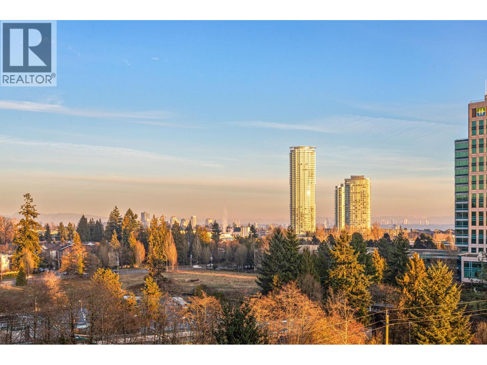 1003 6837 Station Hill Drive, Burnaby, British Columbia  V3N 5B7 - Photo 22 - R3134612