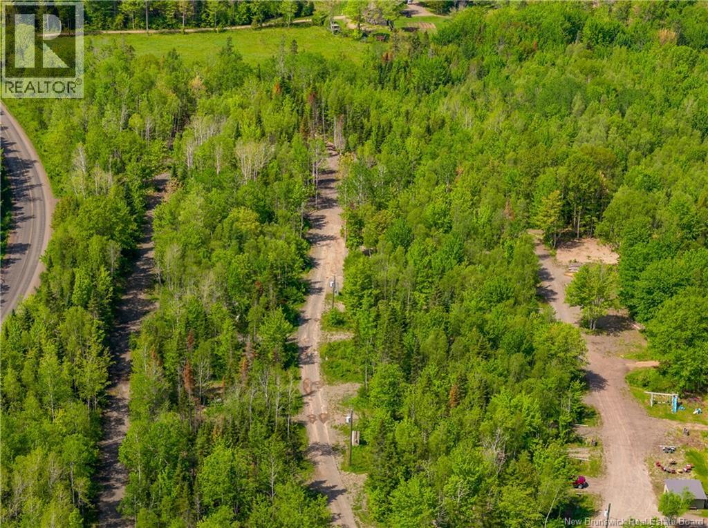 423 Salisbury Back Road, Salisbury, New Brunswick  E4J 1K3 - Photo 34 - NB140434