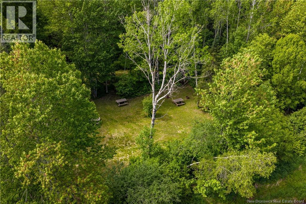 423 Salisbury Back Road, Salisbury, New Brunswick  E4J 1K3 - Photo 40 - NB140434