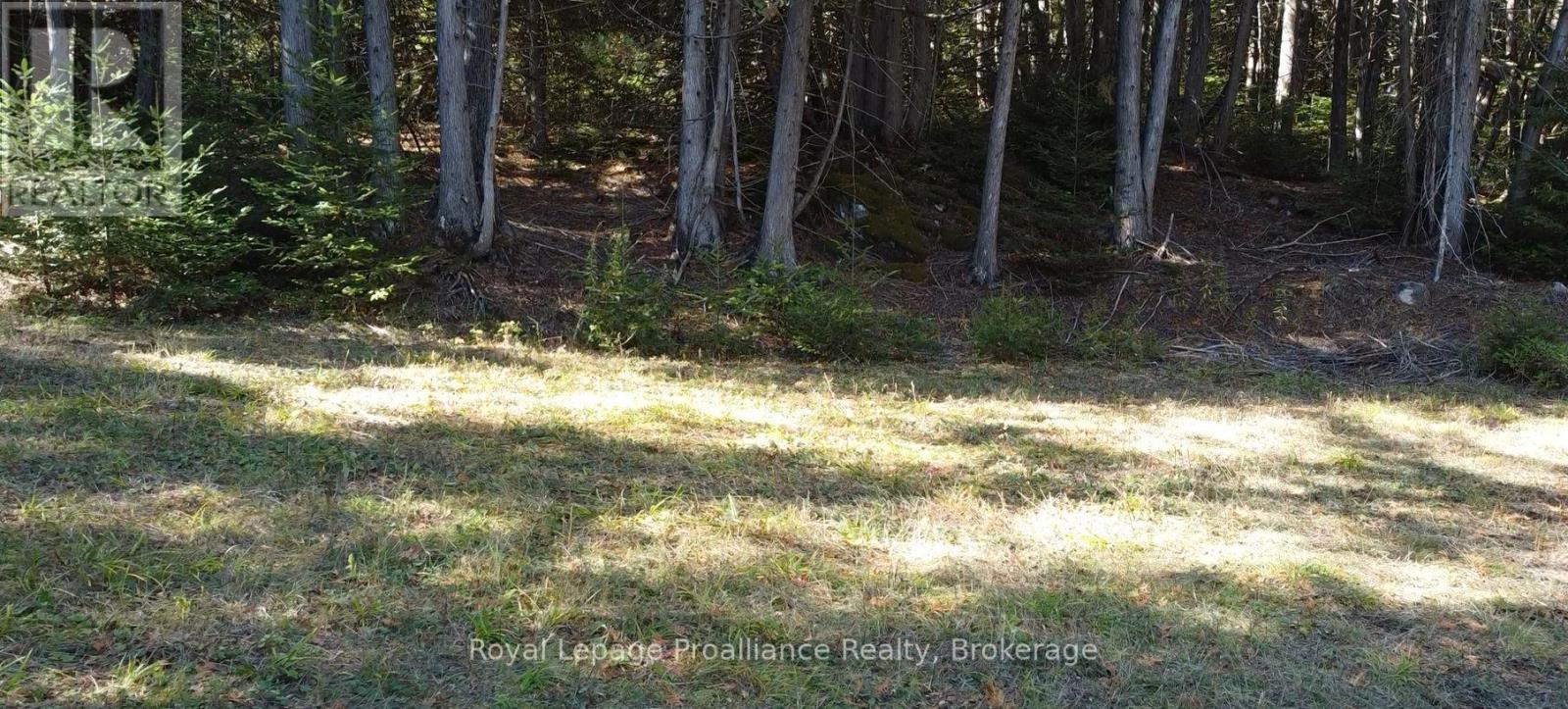 6107 Buckshot Lake Road, Frontenac, Ontario  K0H 2M0 - Photo 11 - X13429804