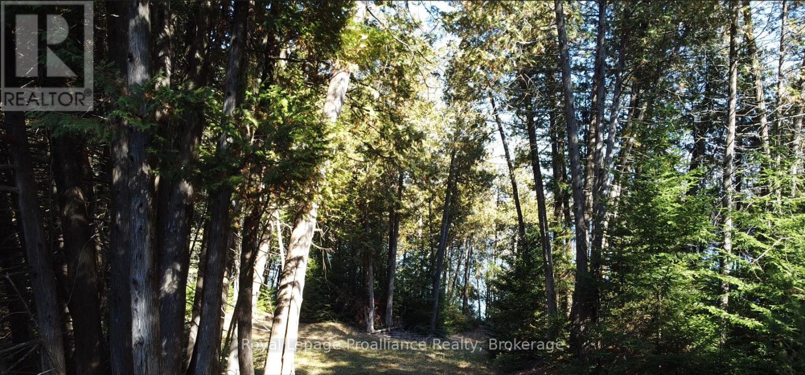 6107 Buckshot Lake Road, Frontenac, Ontario  K0H 2M0 - Photo 9 - X13429804