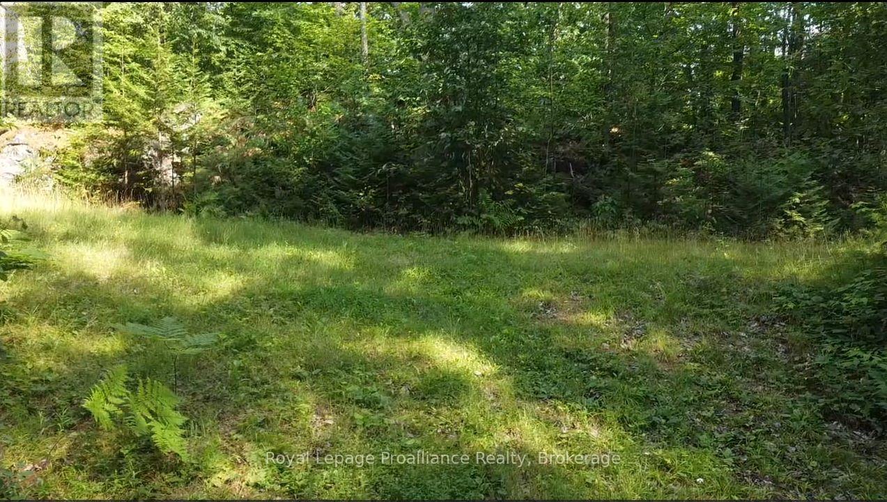 1026 Waterworth Lane, Frontenac, Ontario  K0H 2M0 - Photo 3 - X13429810