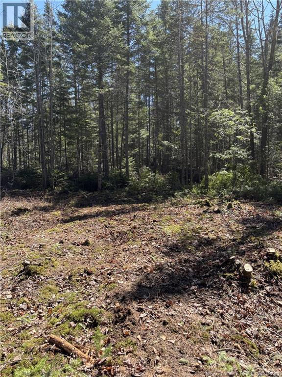 7551 Route  10, Coal Creek, New Brunswick  E4A 3P3 - Photo 2 - NB141593