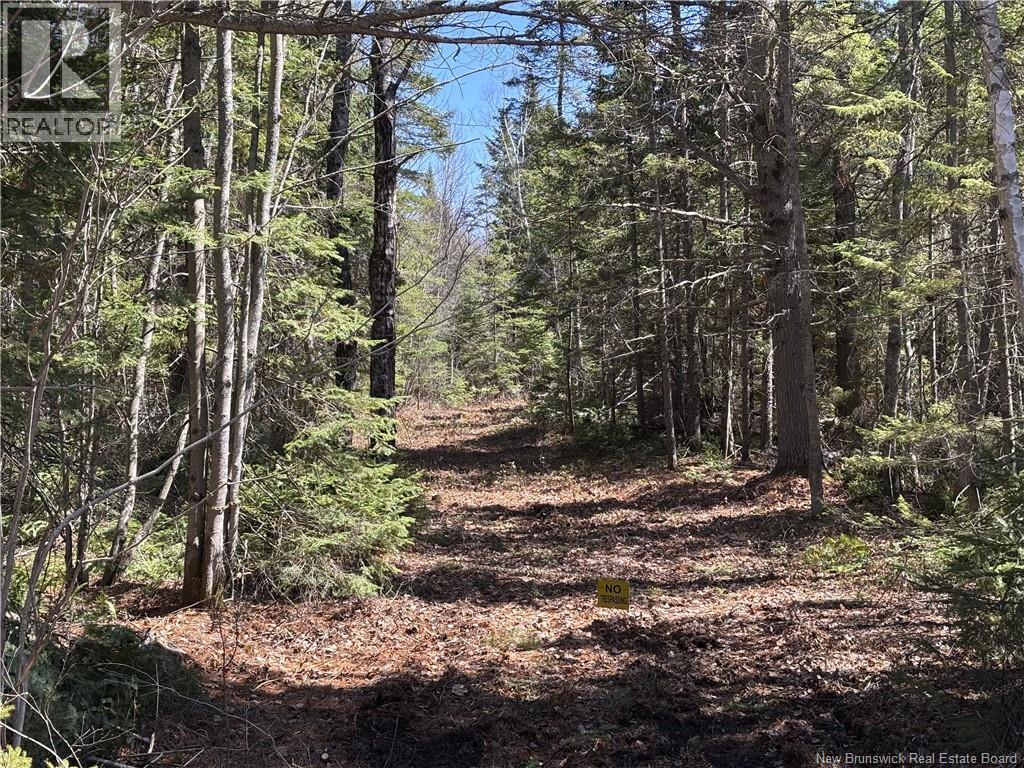 7551 Route  10, Coal Creek, New Brunswick  E4A 3P3 - Photo 3 - NB141593