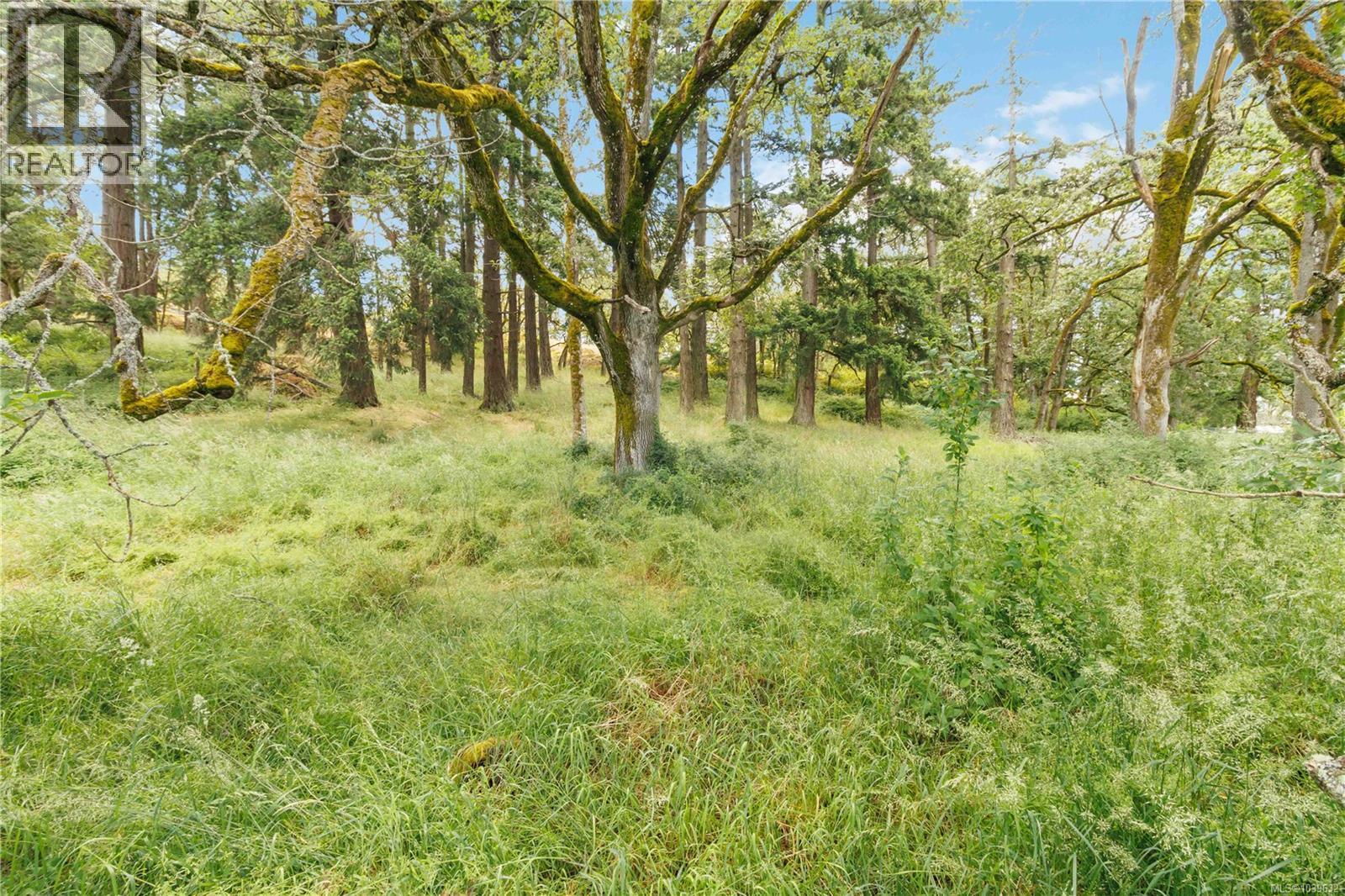 Listing image 40