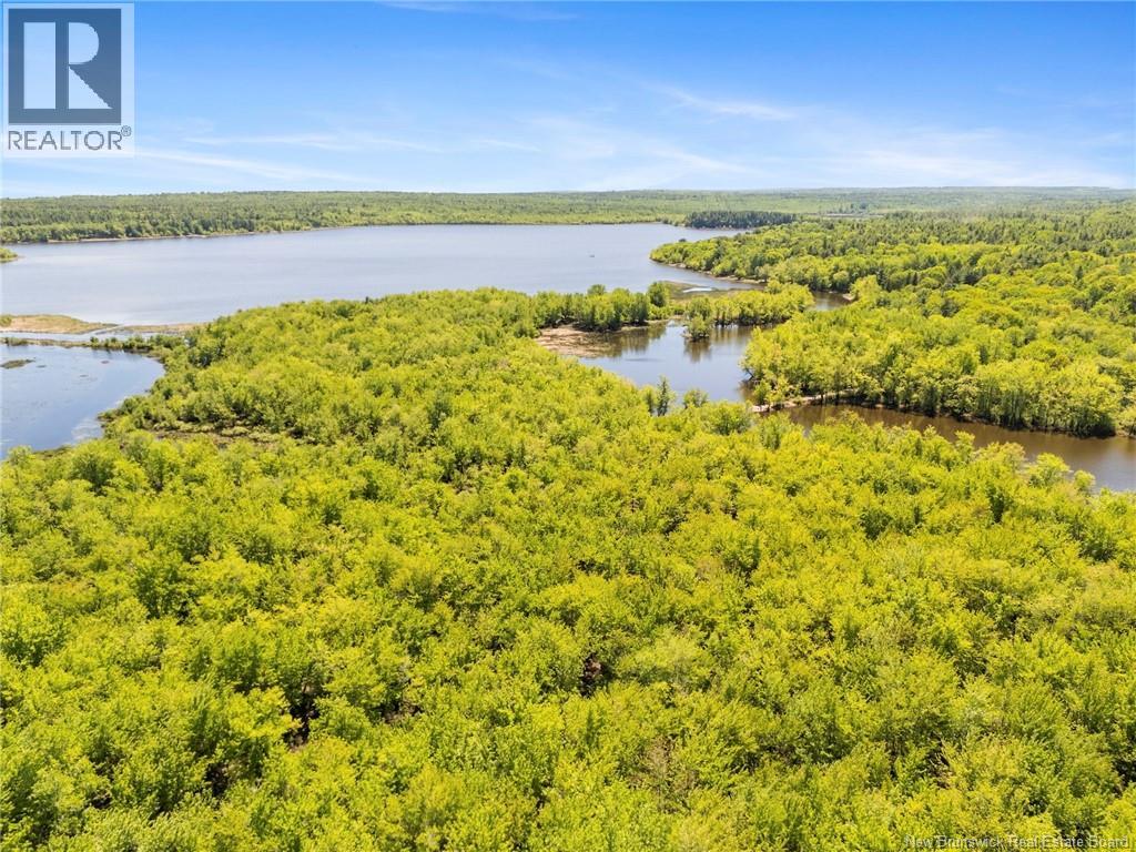 Lot Upper Coytown Road, Upper Gagetown, New Brunswick  O0O 0O0 - Photo 5 - NB130431