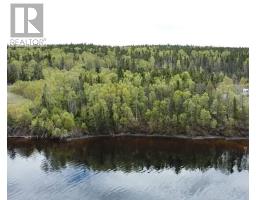 <div class="price">$60,000</div> 9 Little Paradise Lake Road<br>Beothuk Lake, Newfoundland & Labrador<br>