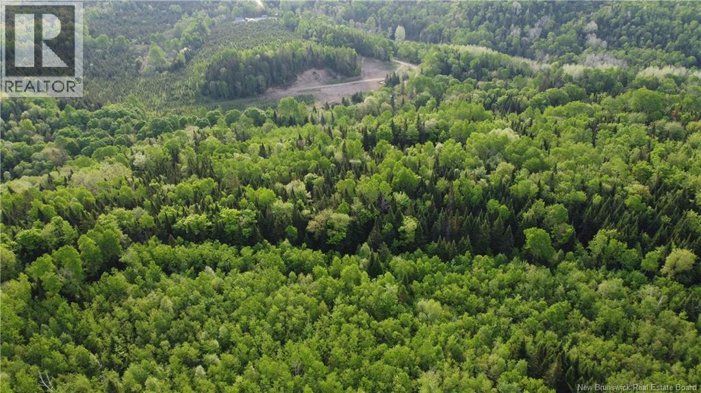 0 Knowlesville Road, Knowlesville, New Brunswick  E7P 2A8 - Photo 12 - NB141146