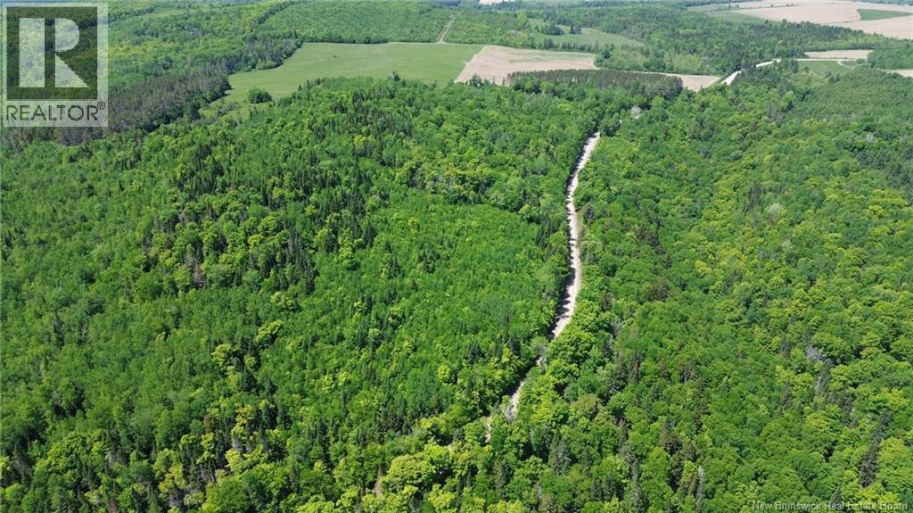0 Knowlesville Road, Knowlesville, New Brunswick  E7P 2A8 - Photo 30 - NB141146