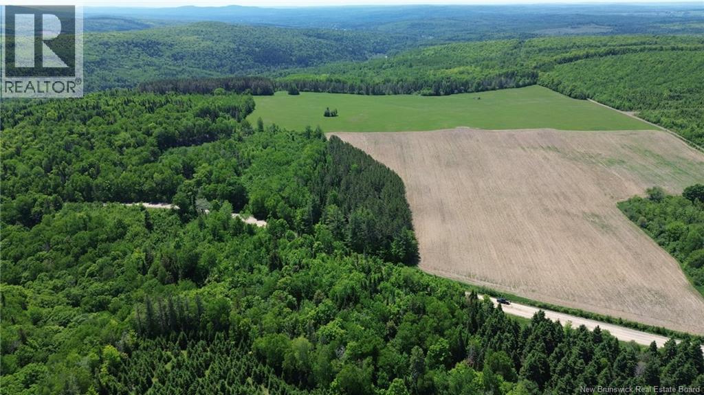 0 Knowlesville Road, Knowlesville, New Brunswick  E7P 2A8 - Photo 28 - NB141146