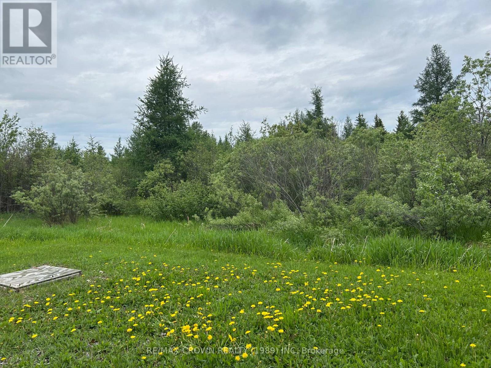 348 Government Road W, Kapuskasing, Ontario  P5N 2X8 - Photo 8 - T13430392