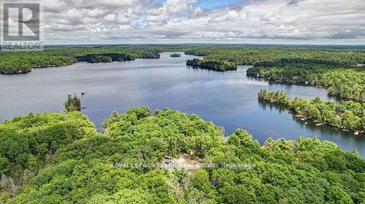 50 Fire Route 41, North Kawartha, Ontario  K0L 2H0 - Photo 38 - X13430882
