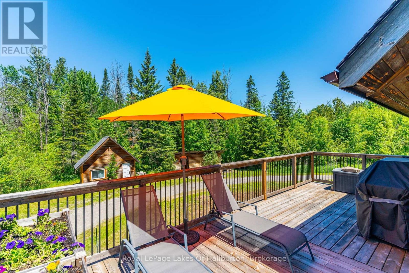 1393 Hunter Creek Road, Minden Hills (Lutterworth), Ontario  K0M 2K0 - Photo 31 - X13430532