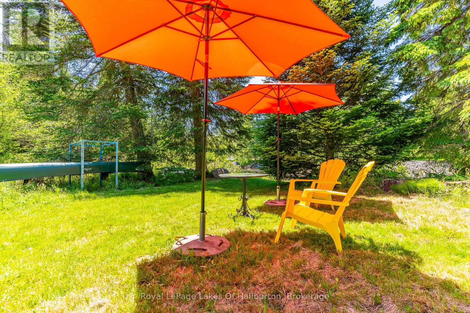 1393 Hunter Creek Road, Minden Hills (Lutterworth), Ontario  K0M 2K0 - Photo 38 - X13430532