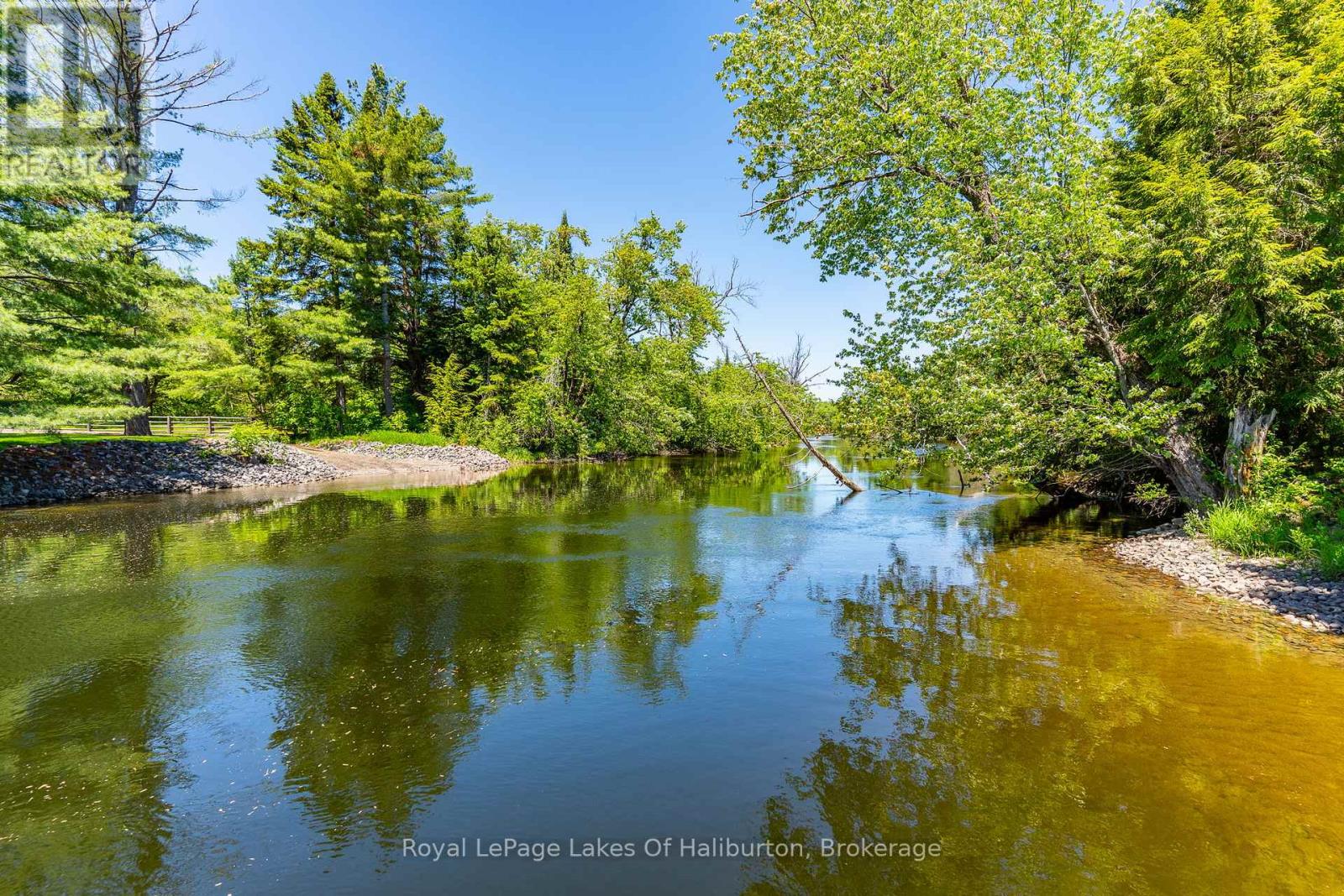 1393 Hunter Creek Road, Minden Hills (Lutterworth), Ontario  K0M 2K0 - Photo 5 - X13430532