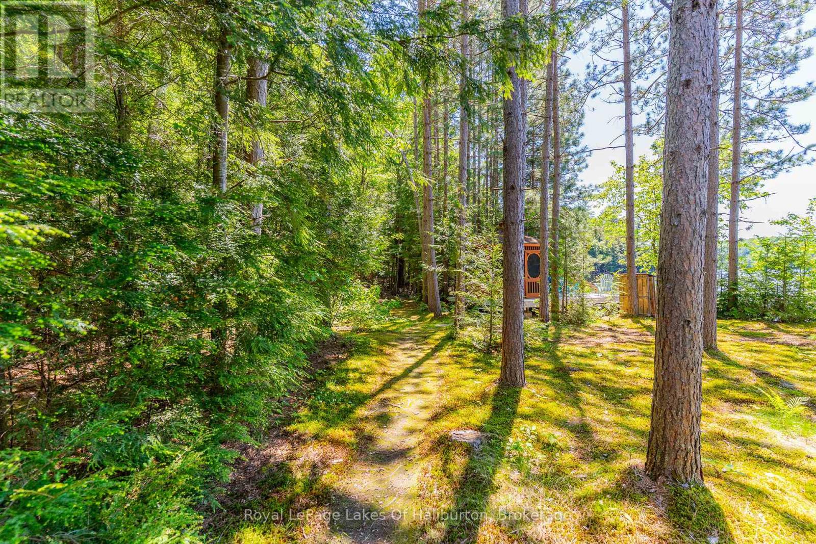 1349 Trellis Trail, Minden Hills (Anson), Ontario  K0M 2K0 - Photo 39 - X13430566