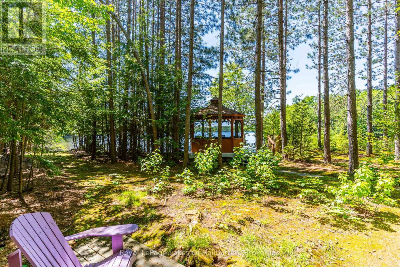 1349 Trellis Trail, Minden Hills (Anson), Ontario  K0M 2K0 - Photo 42 - X13430566