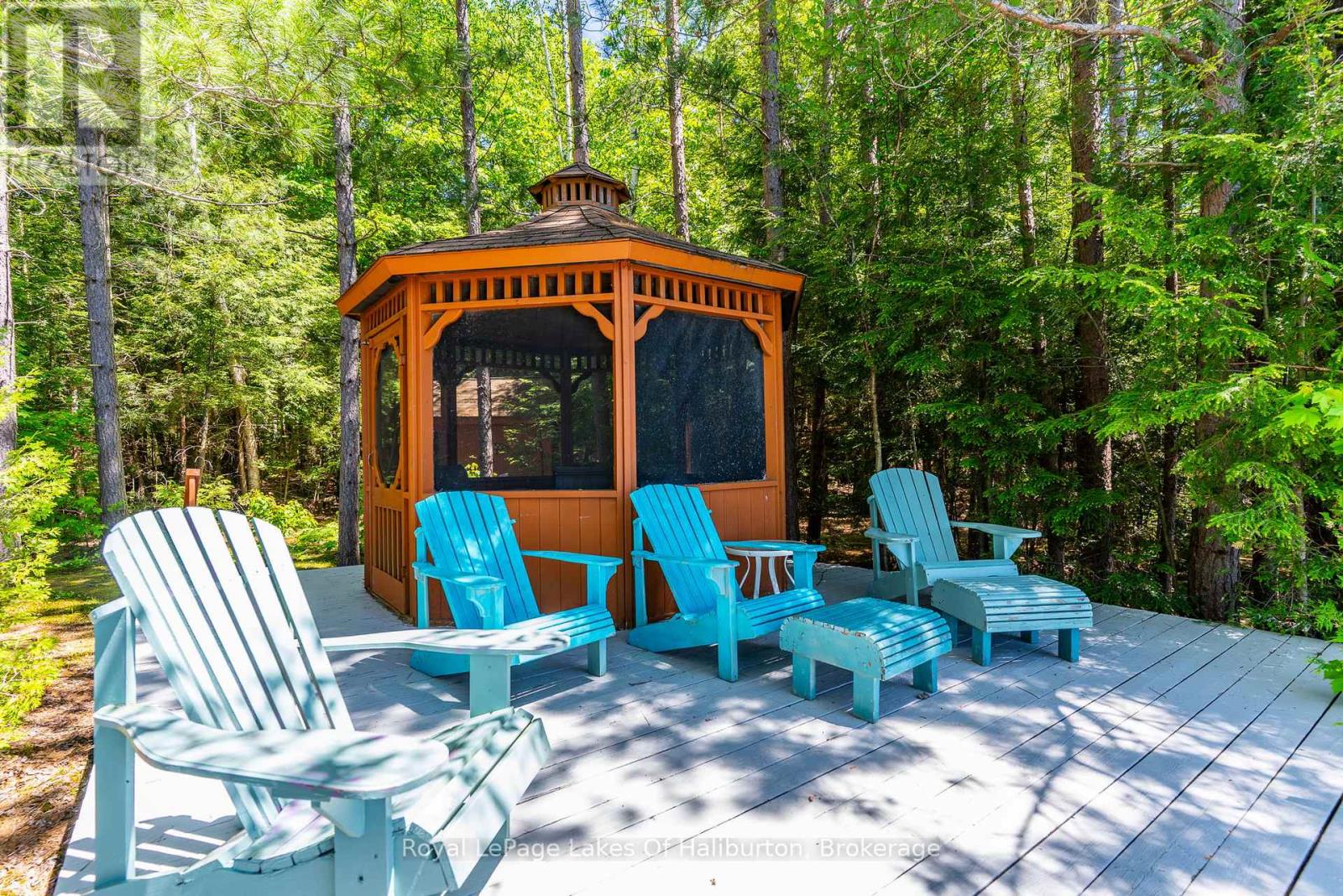 1349 Trellis Trail, Minden Hills (Anson), Ontario  K0M 2K0 - Photo 6 - X13430566