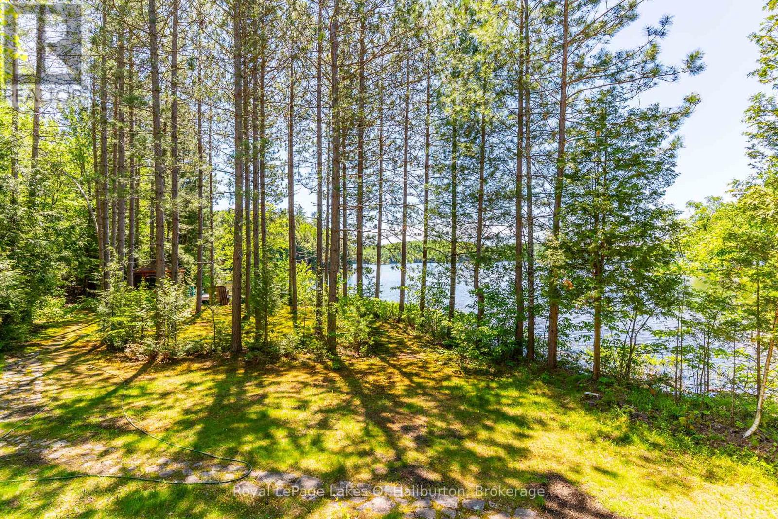 1349 Trellis Trail, Minden Hills (Anson), Ontario  K0M 2K0 - Photo 7 - X13430566